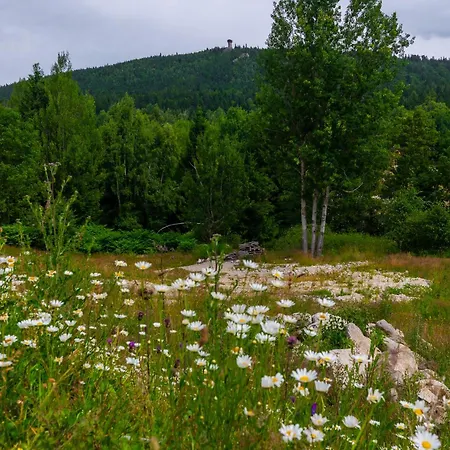 Zeromskiego - Karkonoce 公寓
